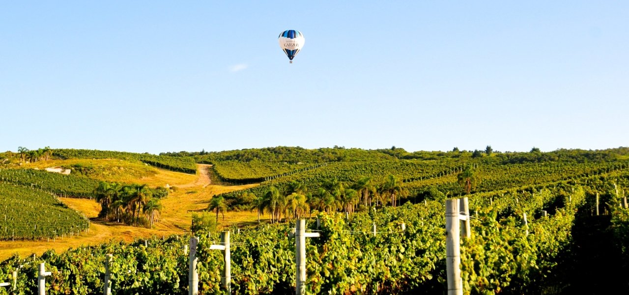 best wine tours in uruguay - Wine Paths